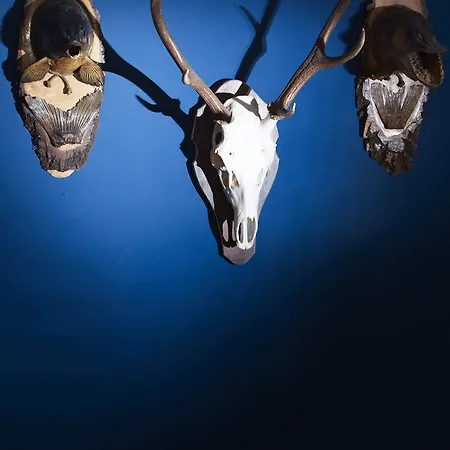 Ξενοδοχείο Der Eichenhof Bad Salzuflen