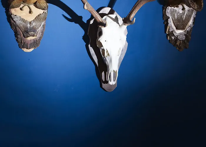 호텔 Der Eichenhof 바트잘츠우프렌